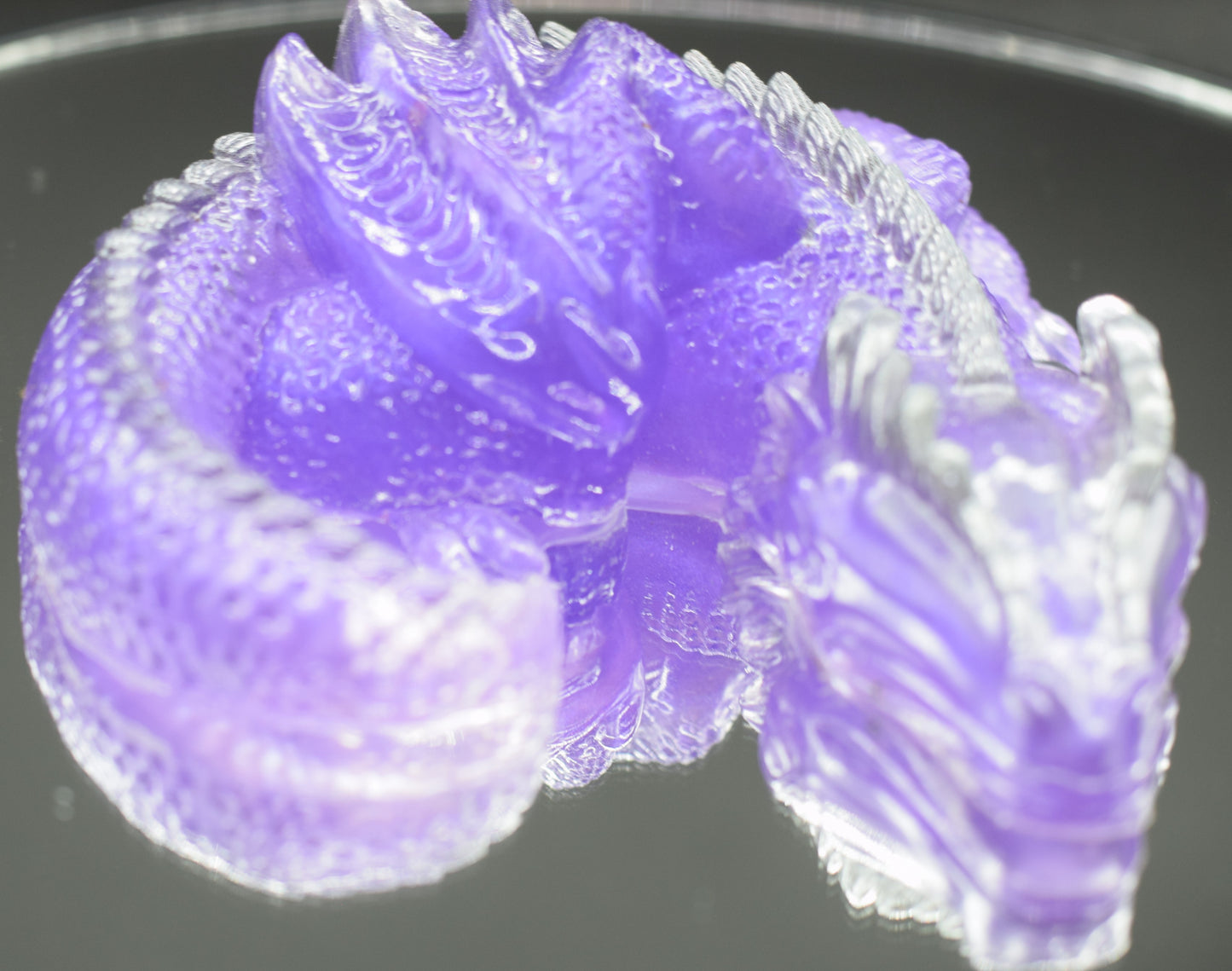 Silverback Purple Dragon