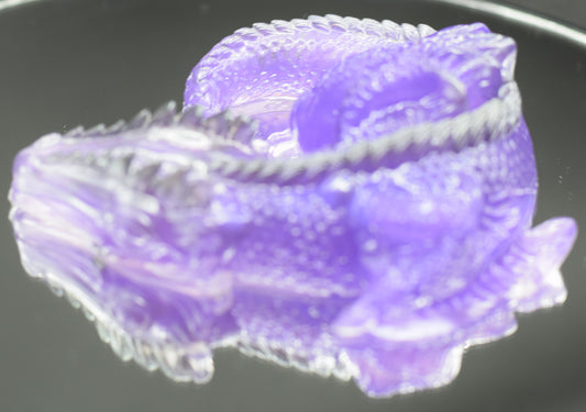 Silverback Purple Dragon